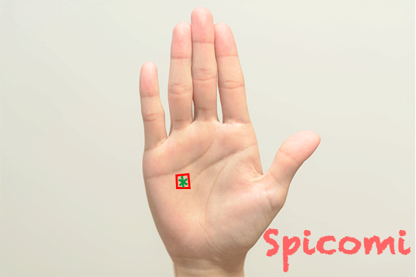 四角型-手相占い無料占いcoemi コエミ