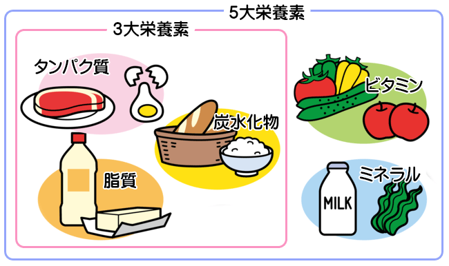 五大栄養素とは？健康寿命の延伸に役立つ栄養素を解説健康と栄養味の素グループ