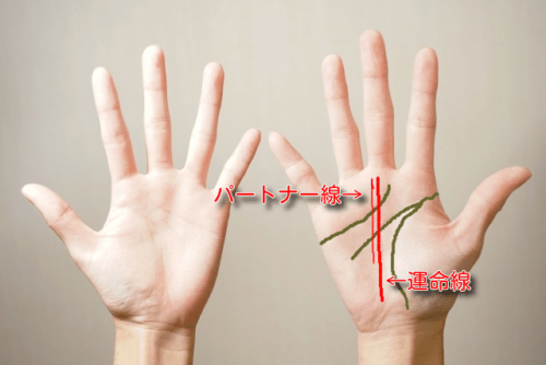 頭脳線 三本に分かれているTikTok