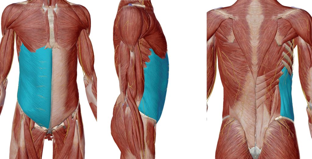 腹筋を鍛える！腰痛改善へのメリット渋谷No.1実績選ばれる整体・鍼灸院15年以上の信頼と実績