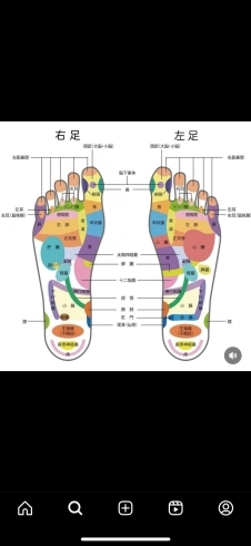 足つぼ 図解 見ればわかる！足もみの効果 反射区を知ろう 足の専門店”フットプラス”岐阜県関市岐阜県関市 足の専門店 オーターメイドインソールFOOT PLUS フットプラス