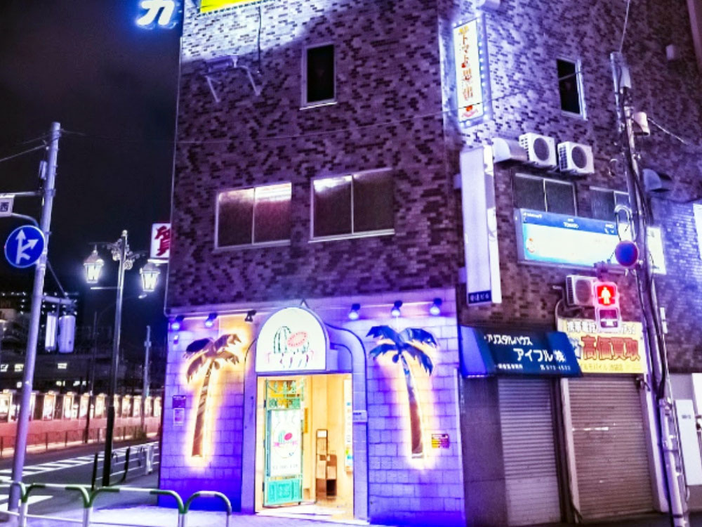 レイナ - 池袋風俗・ファッションヘルス「スイカ」