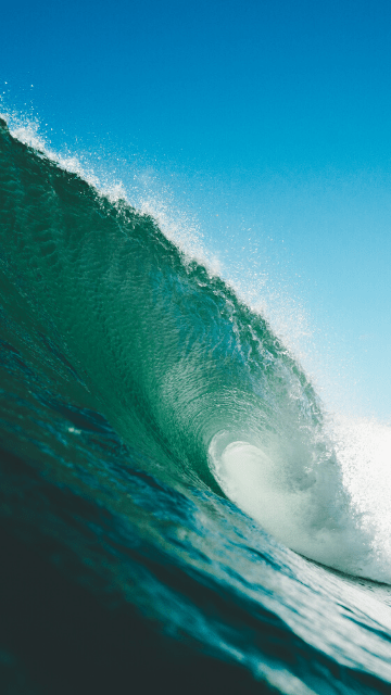 金運・健康運UP！運気が上がる待ち受けと風呂釜洗浄の相乗効果プロが語る！そうじ屋くまの「汚れの裏側」