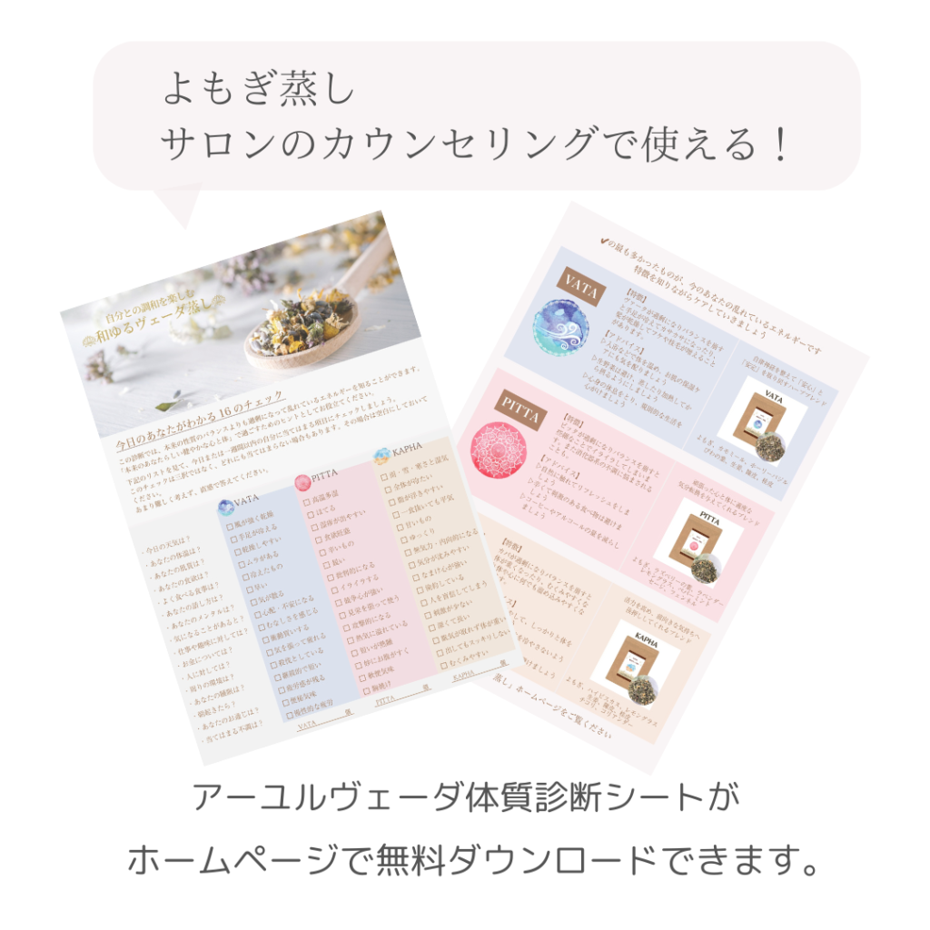 ESTLAB SHOPフェイシャル・ボディ 痩身 用カウンセリングシート インタビューシート A4タテ・両面4色・100枚 冊