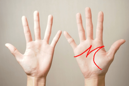 手相占い 今年の主役に決まり！2024年運勢の良い手相10選 - Peachy ピーチィ- ライブドアニュース