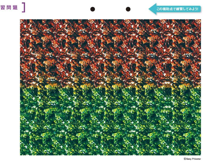 なにわ男子 道枝駿佑 厚紙カード3枚 - メルカリ