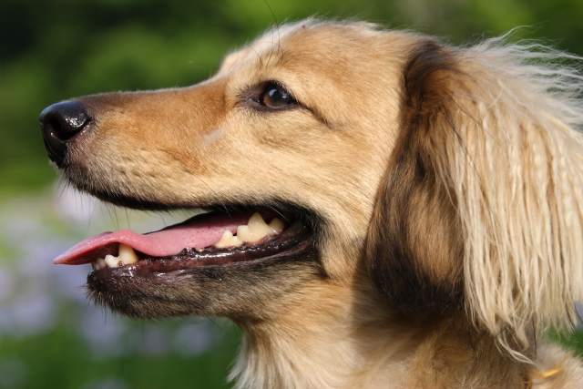 夏の赤ちゃん、快適睡眠ガイド！エアコンの正しい使い方や環境づくりのコツ白金台のベビー服専門店BabyGoose WEB本店