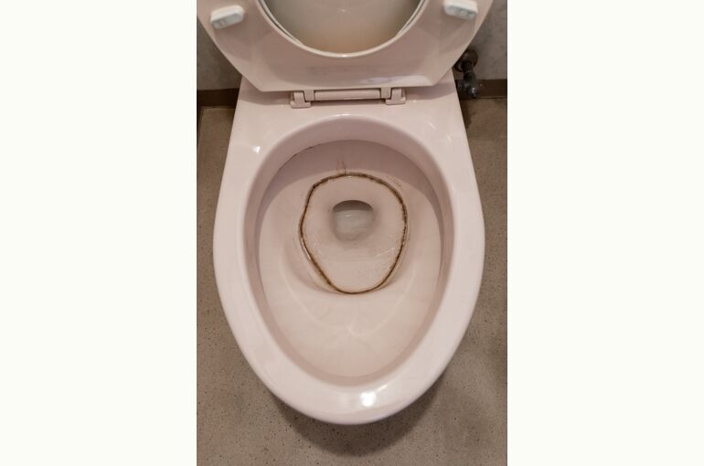 簡単 トイレの頑固な黒ずみの落とし方とは？掃除の注意点や効果的な対策もご紹介 - ヒントマガジン ハンズネットストア