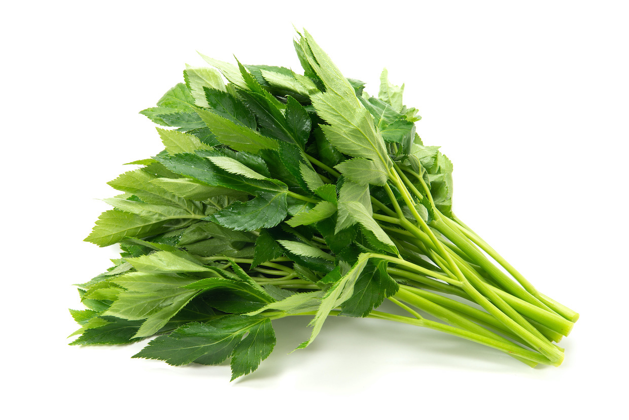 八丈島の健康野菜あしたば - 八丈島観光協会