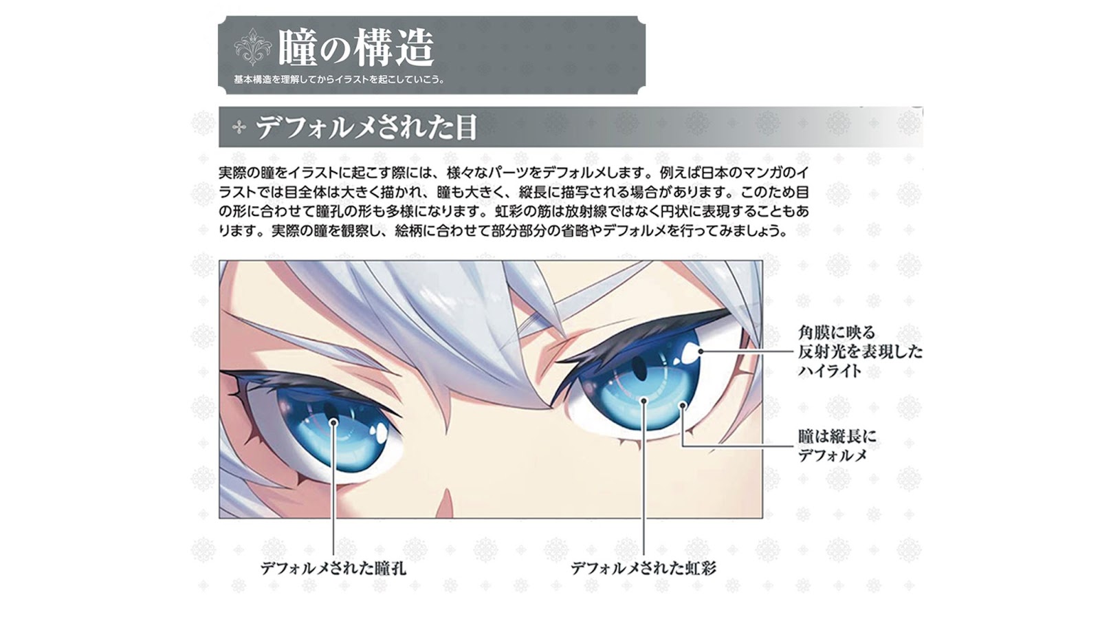 鹿メモ・鹿の瞳孔は横長の四角い形になっている。 ・眼球は横長の瞳孔が地面に対して平行になるように回転する！ 瞳孔が横長なのはパノラマのような広い視界を確保するため。また、眼球が回転することで地面に対して常に広い視野を確保し、敵の存在に素早く気づくこと