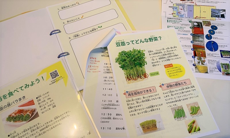 豆苗 豆苗を種から育ててみよう！〜種蒔きから収穫までの観察記〜 - アタマの中は花畑