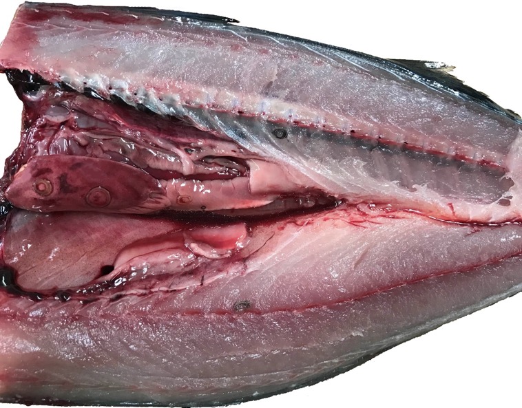 キス料理は天ぷら以外だと刺身は危険？寄生虫いる？アニサキスは