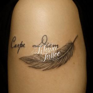 47,600点を超える羽のタトゥーのイラスト素材、ロイヤリティフリーのベクター素材グラフィックスとクリップアート - iStock