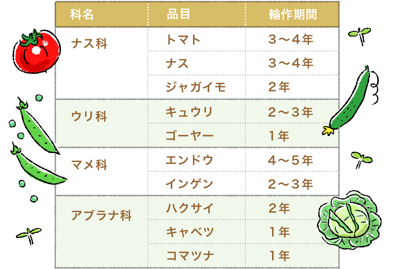 家庭菜園家庭菜園にチャレンジ!! 初めての方 初心者 におすすめ野菜の選び方家庭菜園におすすめの野菜10選植物とあなたをつなぐPlantia