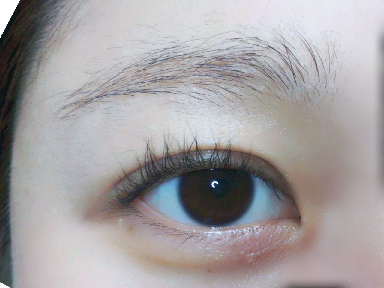 眉脱色の方法とメイクテクニック✨