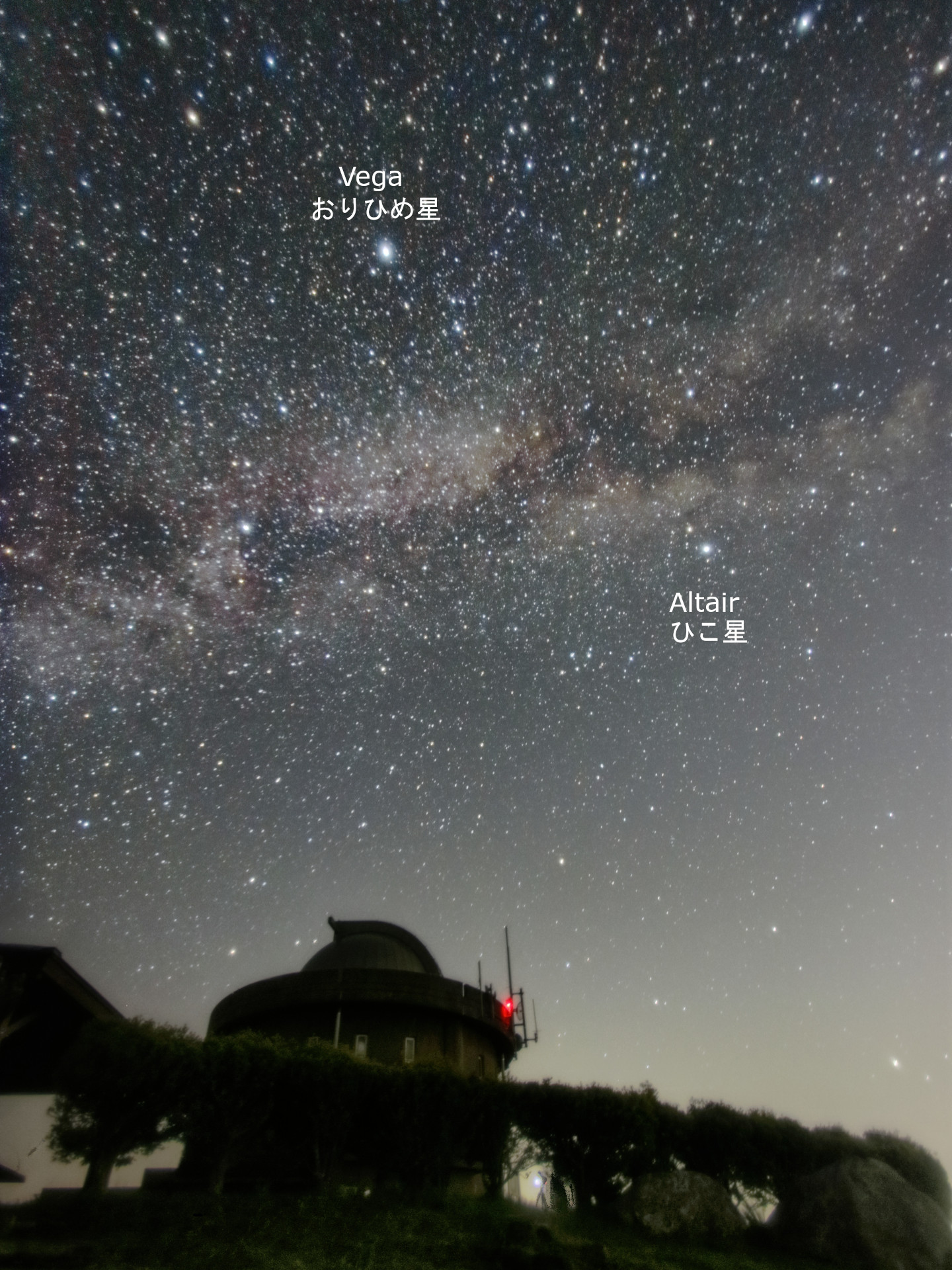 飛ぶ」の英語は？「空を飛ぶ」だけじゃない使い分け15選 - 英会話ハイウェイ英会話、海外生活・留学に関する情報が満載のメディア