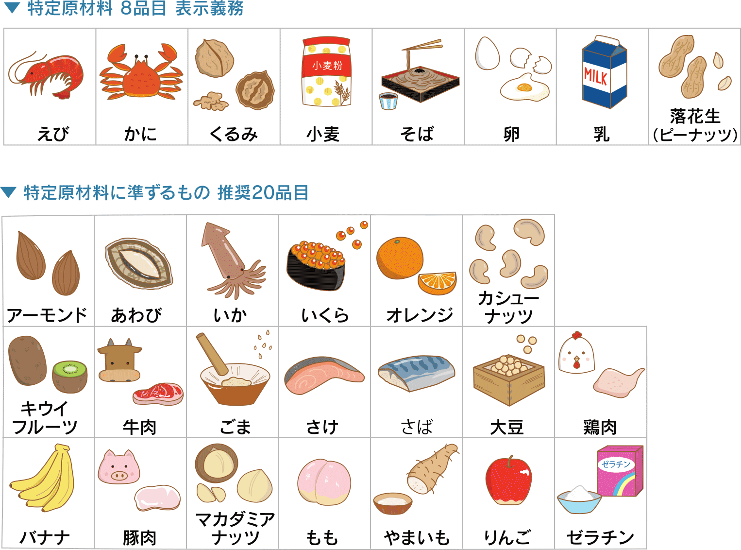 食物アレルギーの症状やアレルゲンを含む食品の表示義務についてMHCL WORKS LABO