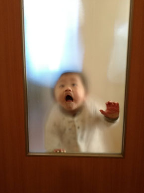 Amazon.co.jp:育児衝撃画像 : 「 育児衝撃画像」制作委員会: 本