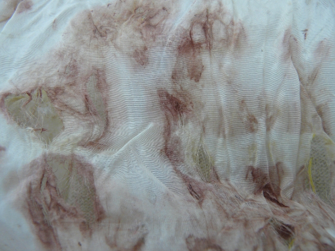 服のカビの落とし方白・黒カビを取る方法と防止策となりのカインズさん