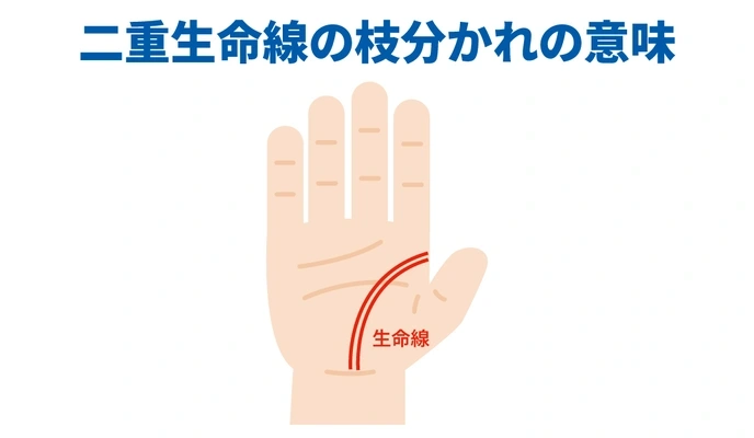 手相占い生命線2本あるTikTok