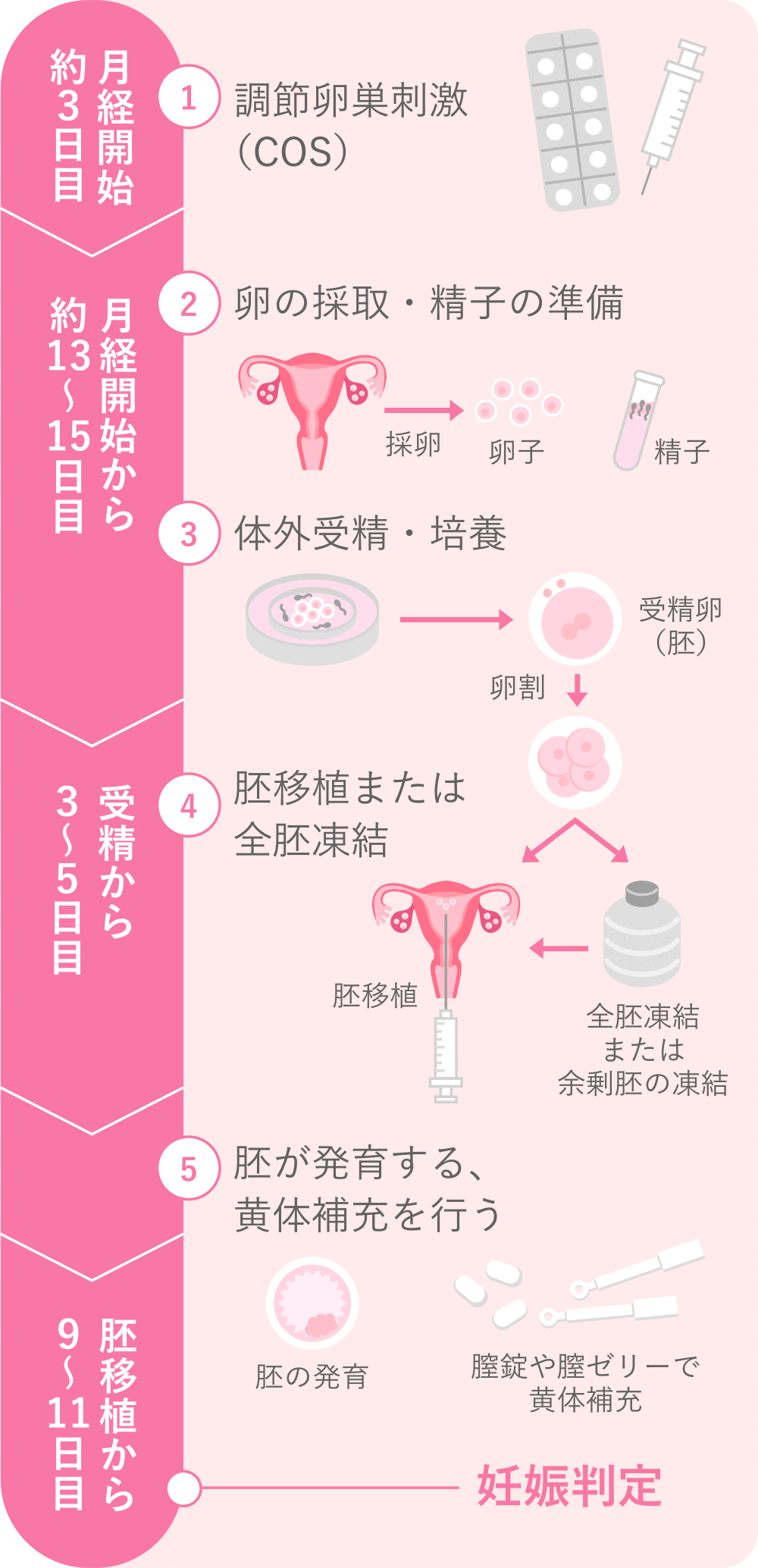 体外受精について不妊治療広島HARTクリニック：医療法人ハート 難治性不妊治療専門医院 ISO9001認証取得 JISART認定審査合格