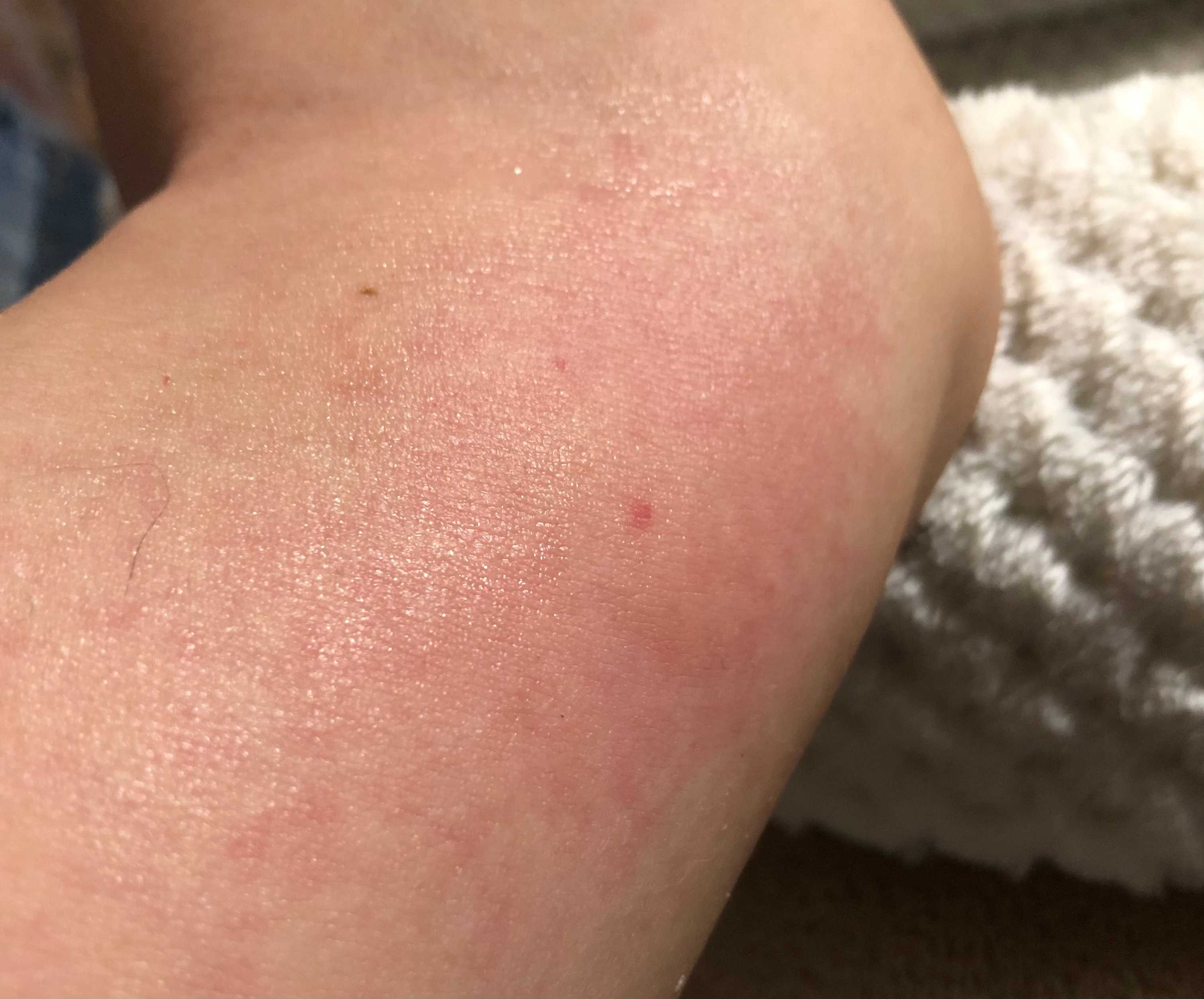 ムカデ出没！総合建築業 ブログナルセコーポレーション