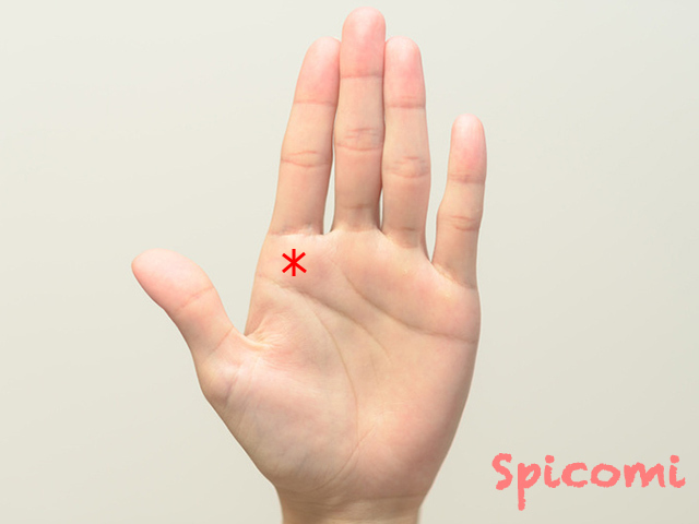 手相診断 あなたの「適職」は？ ananweb