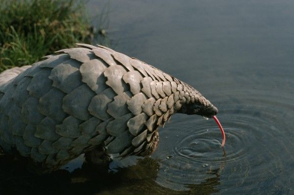 矯正治療中の発音への影響は？滑舌が悪くなるって本当