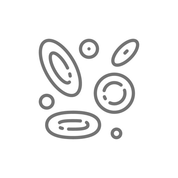 血小板のイメージイラスト：イラスト無料