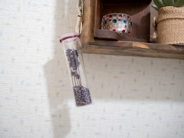 食べて、効いて、遊べるドクダミ。１０の方法で使ってみた。 – 道の駅 四季の郷公園 FOOD HUNTER PARK フードハンターパーク