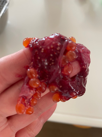 妊婦はイクラを食べちゃダメ？妊娠中のいくら5つのリスクと影響はじめてママ