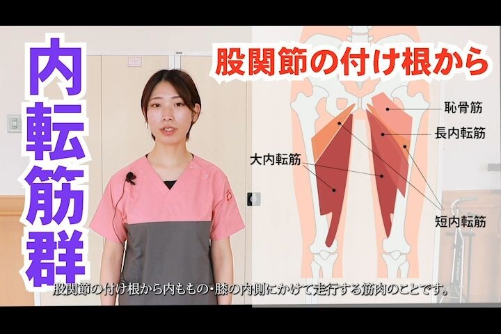 鼠径部は悩みの種⁉ ＜腸腰筋＞ - ③ -松本深圧院 ル・サロン銀座