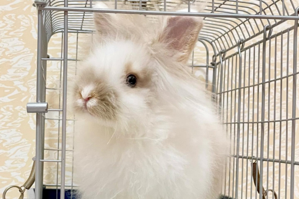 宮脇舞依目の力を抜くと嫌いな人を見る目になるらしい やってみた。 デフォが目つき悪いだけで嫌いじゃないです🥲ちなみに苦手な人は昔から寝たフリするタイプです。目つきが悪いつり目つり目メイクツリ目目に見えるものが真実とは限らないアラフォー