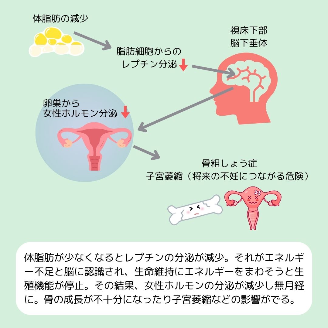 医学博士監修 更年期に体重増加が止まらないのはなぜ？40代、50代女性の原因とダイエット法も解説
