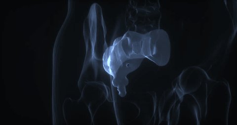 前立腺の病気│練馬区の泌尿器科・皮膚科 さくまクリニック