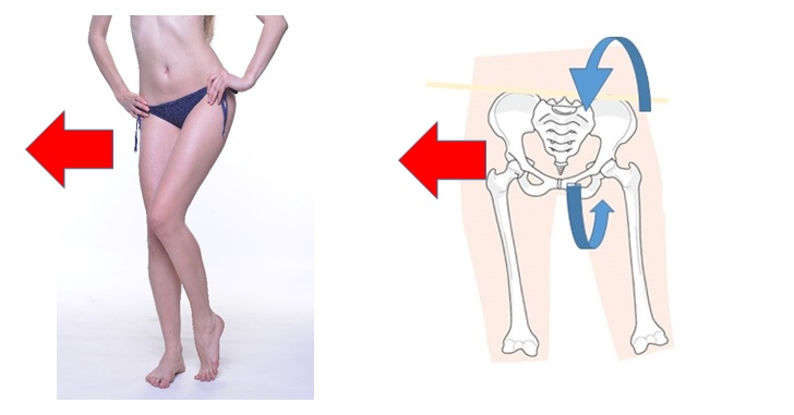 内転筋 長内転筋、短内転筋、大内転筋、恥骨筋、薄筋 の解剖学から筋トレ、ストレッチ法までの基礎知識大阪市阿倍野区のパーソナルトレーニング30年以上の経験豊富なテレビ出演トレーナーが指導どこでもフィット西田辺