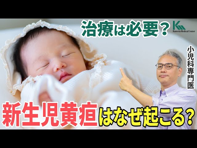 子どもの黄疸公式 元住吉駅前こころみクリニック内科・小児科・耳鼻咽喉科・婦人科