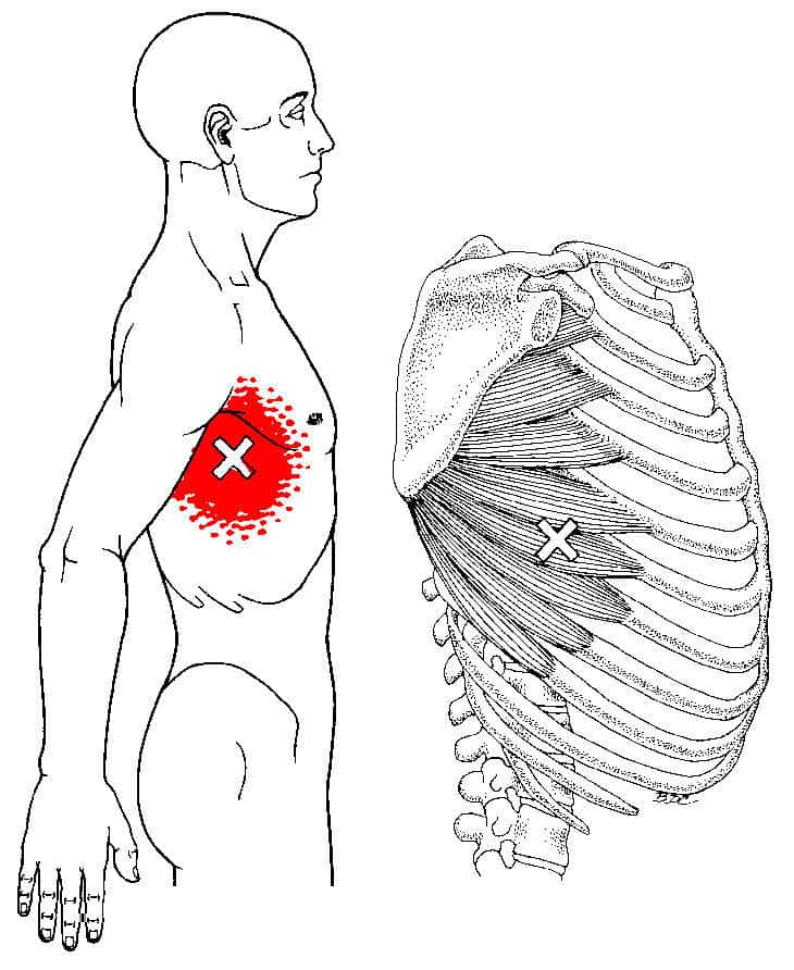 肋骨が片方だけ出てる？それって自分でも矯正できますよ！ - 小顔矯正・整体を東京でお探しならRevision