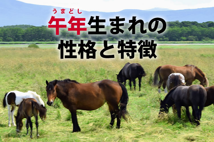 十二支 午年 うまどし 生まれの特徴や運勢、他の十二支との相性を解説 - アポロン山崎の占い