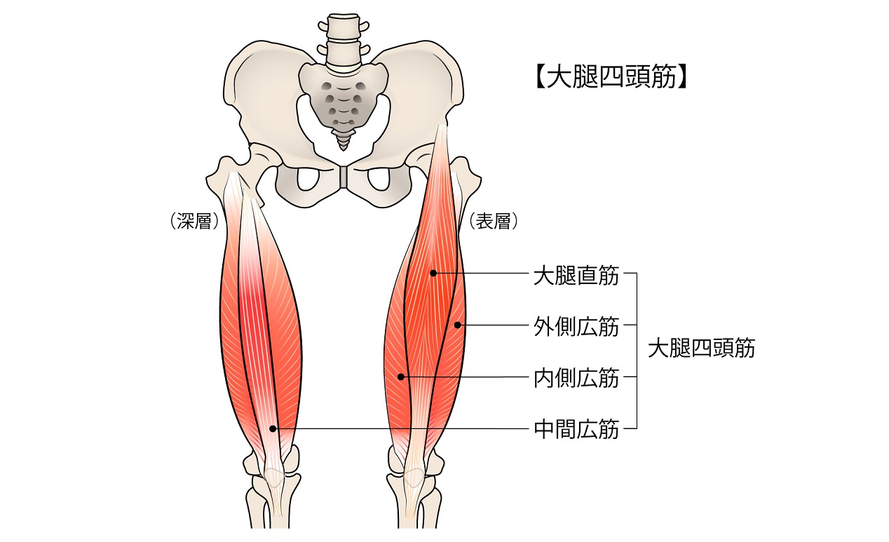おうちで健康 ー 「ツボかるた」の販売