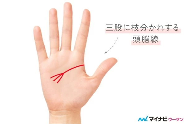 頭脳線が三又に別れた手相・先端が3本以上に枝分かれした手相