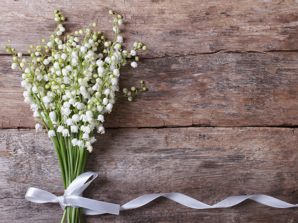 ゲラン 大切な人へ贈る“スズランの日”を祝福する香りが今年も登場ゲラン株式会社のプレスリリース