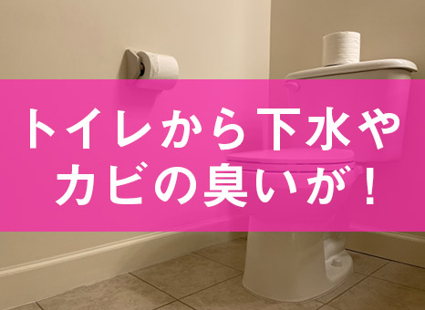 トイレの異臭は3種類！原因を特定する方法と臭いを消す方法を解説東京・大阪・福岡 – RB