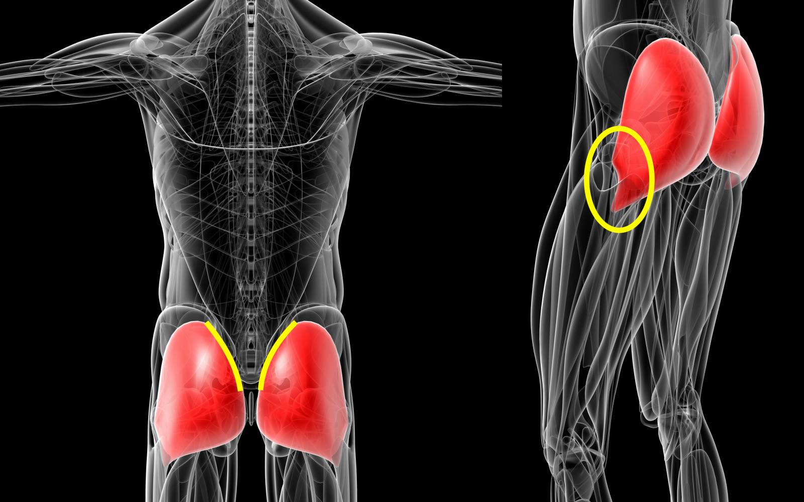レディース 補正 ショートボトム M～LL ガードル ショートガードル ヒップアップ 女性 婦人 お尻 パンツ ショーツ 下着 肌着 クロッ –スクログ