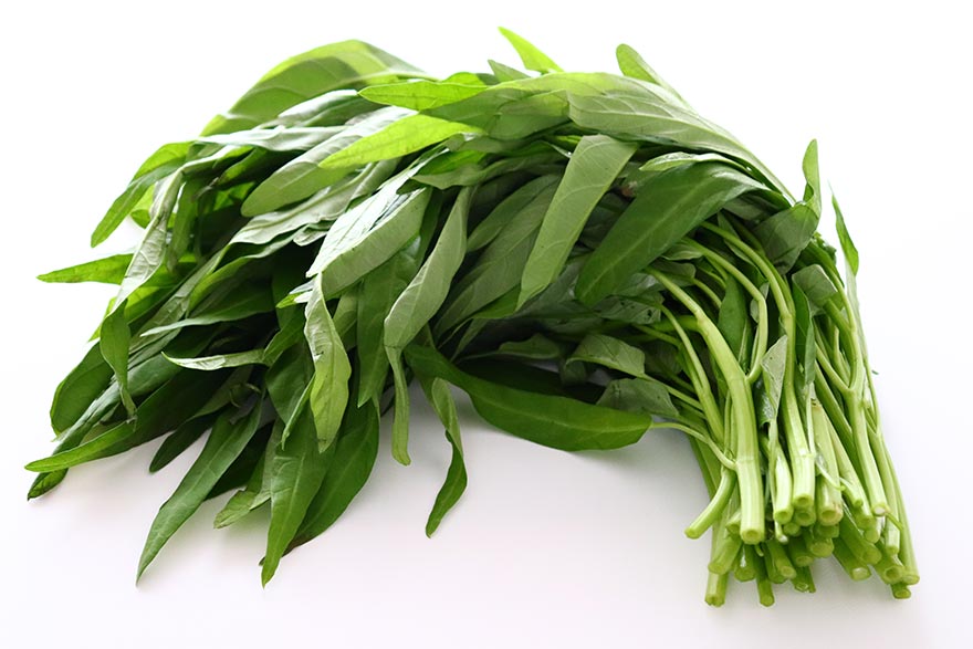 いくつ言える？意外と知らない野菜の英語名 根菜・芽野菜蒲田・浜松町 英会話パーキー超初心者向け