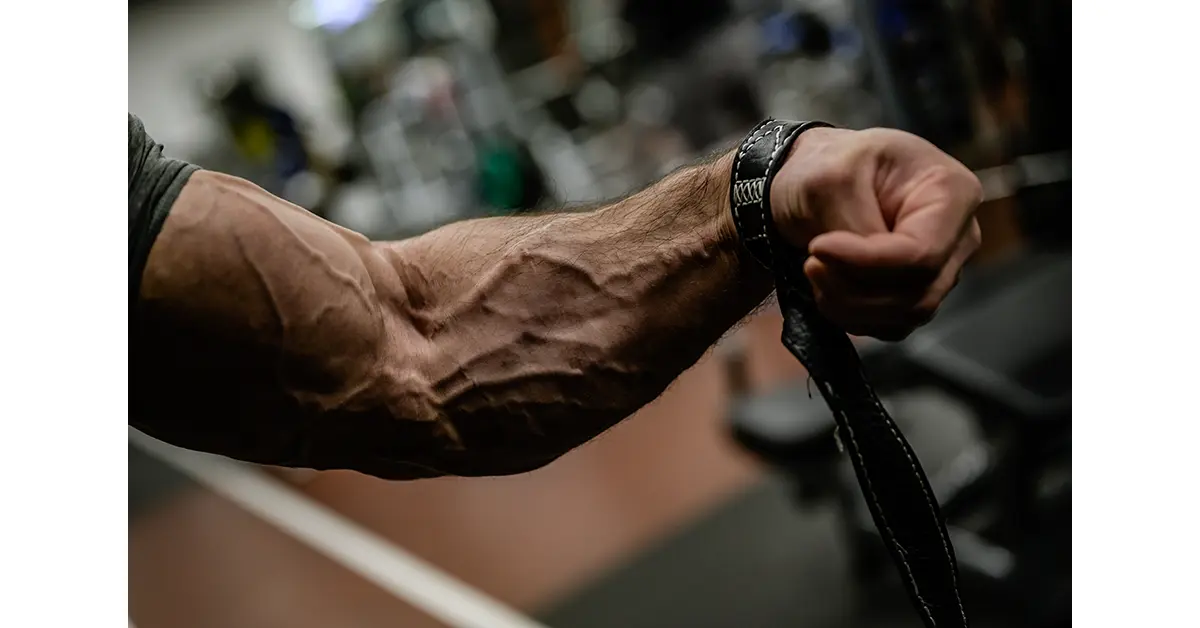 腕橈骨筋 わんとうこつきん ストレッチ方法・起始停止・作用QITANO ® 北野カラダづくりラボ