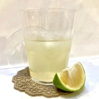 梅ドリンク ぷらむジュース はちみつ入り 梅ドリンク 梅シロップ はちみつドリンク 青梅 クエン酸オンラインストア農悠舎王隠堂