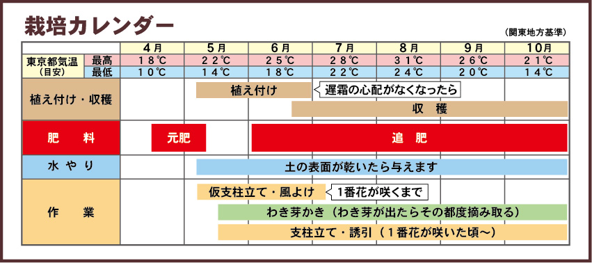ピーマンのプランターでの育て方・栽培方法