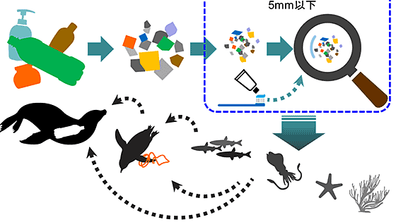 海洋プラスチック問題について WWFジャパン