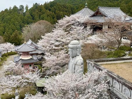 奇妙な顔を曇りガラスの景色 - 人の顔のストックフォトや画像を多数ご用意 - 人の顔, 歪んだ, 歪曲 - iStock